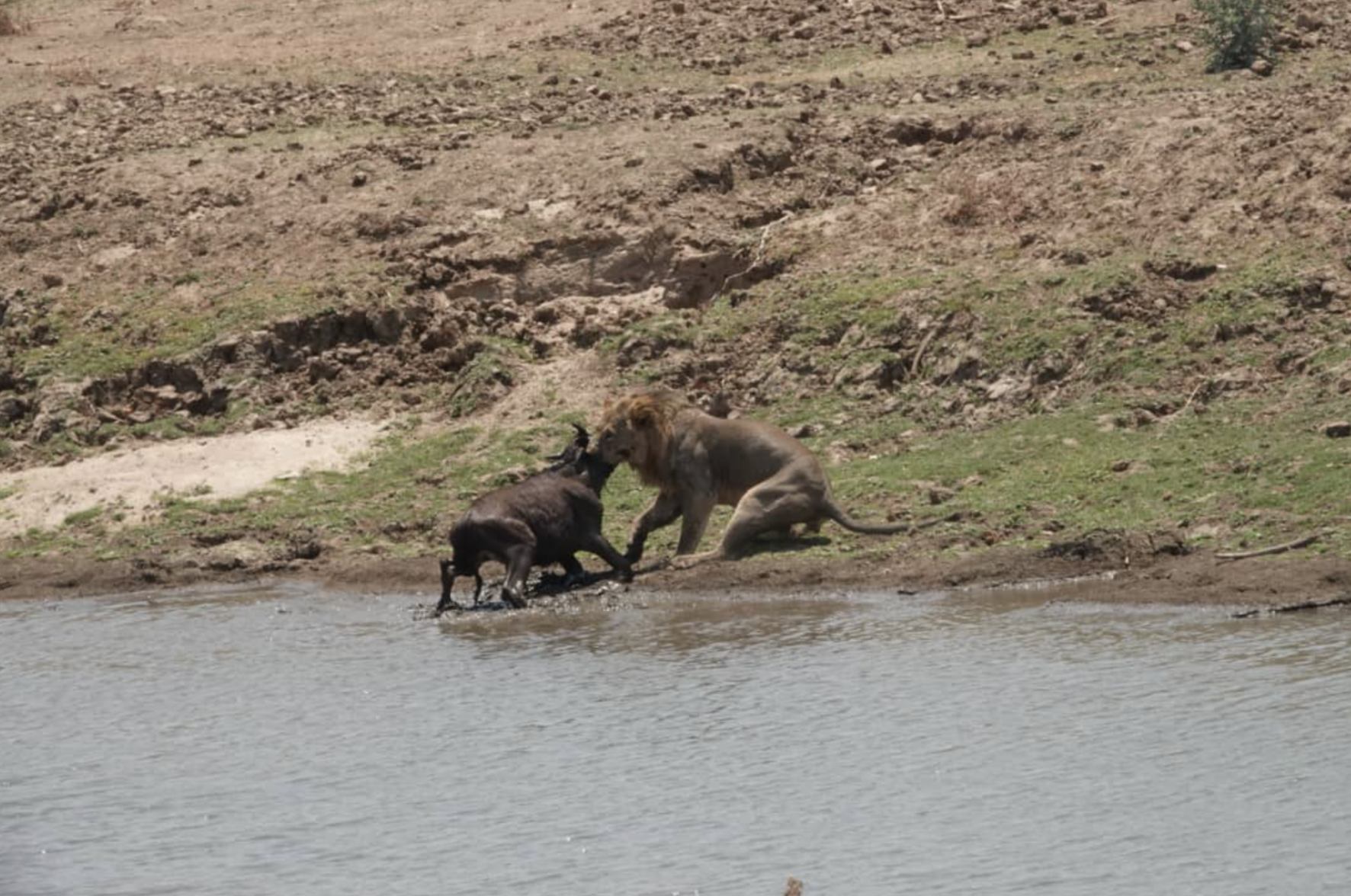 Mikango Zambia Safaris - Image 4
