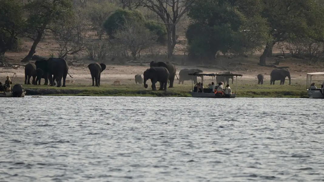 Bush Wilderness Safaris