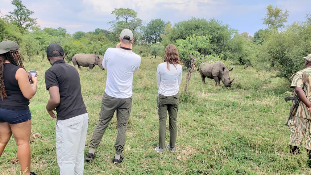 Bush Wilderness Safaris
