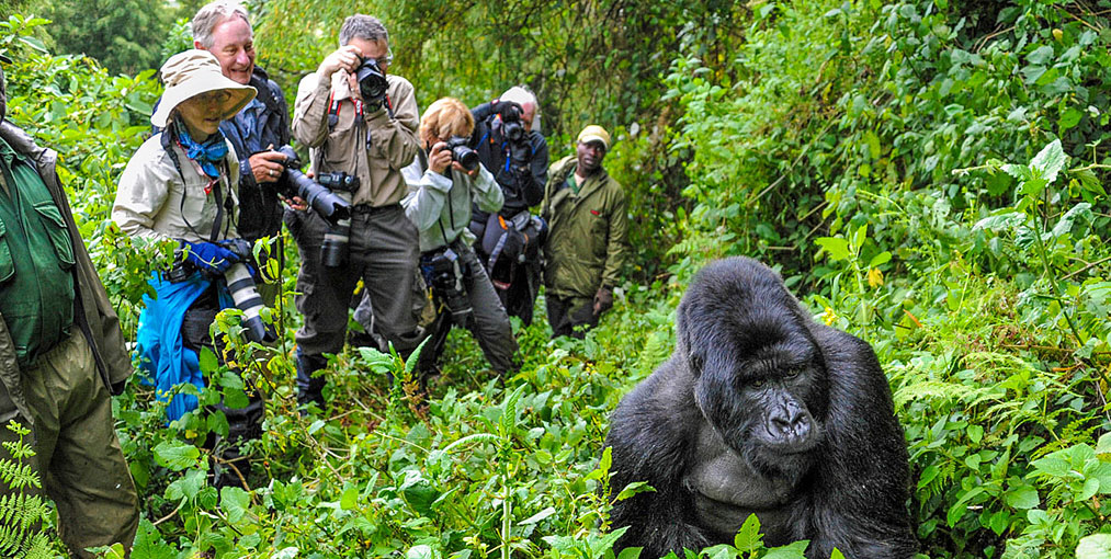 Nziza Adventures - Image 3