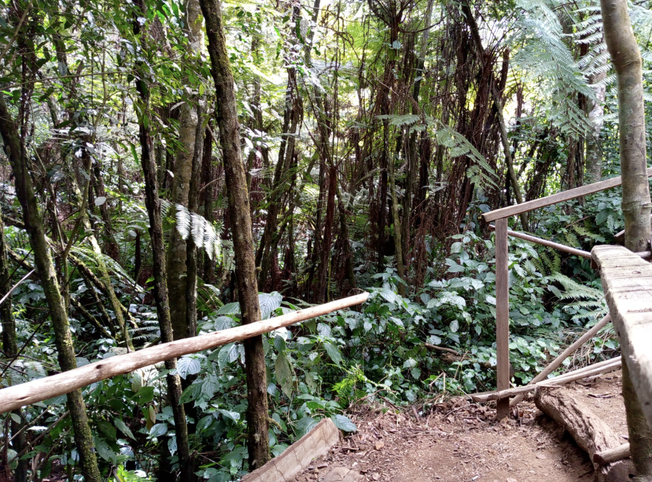 Magamba Cultural Tourism - Image 4