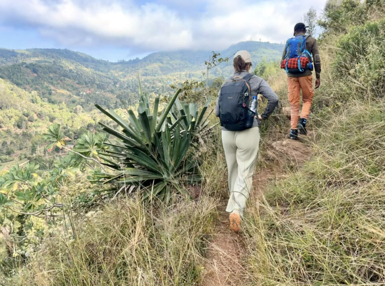 Usambara Mountain Hiking & Bird Watching - Image 2