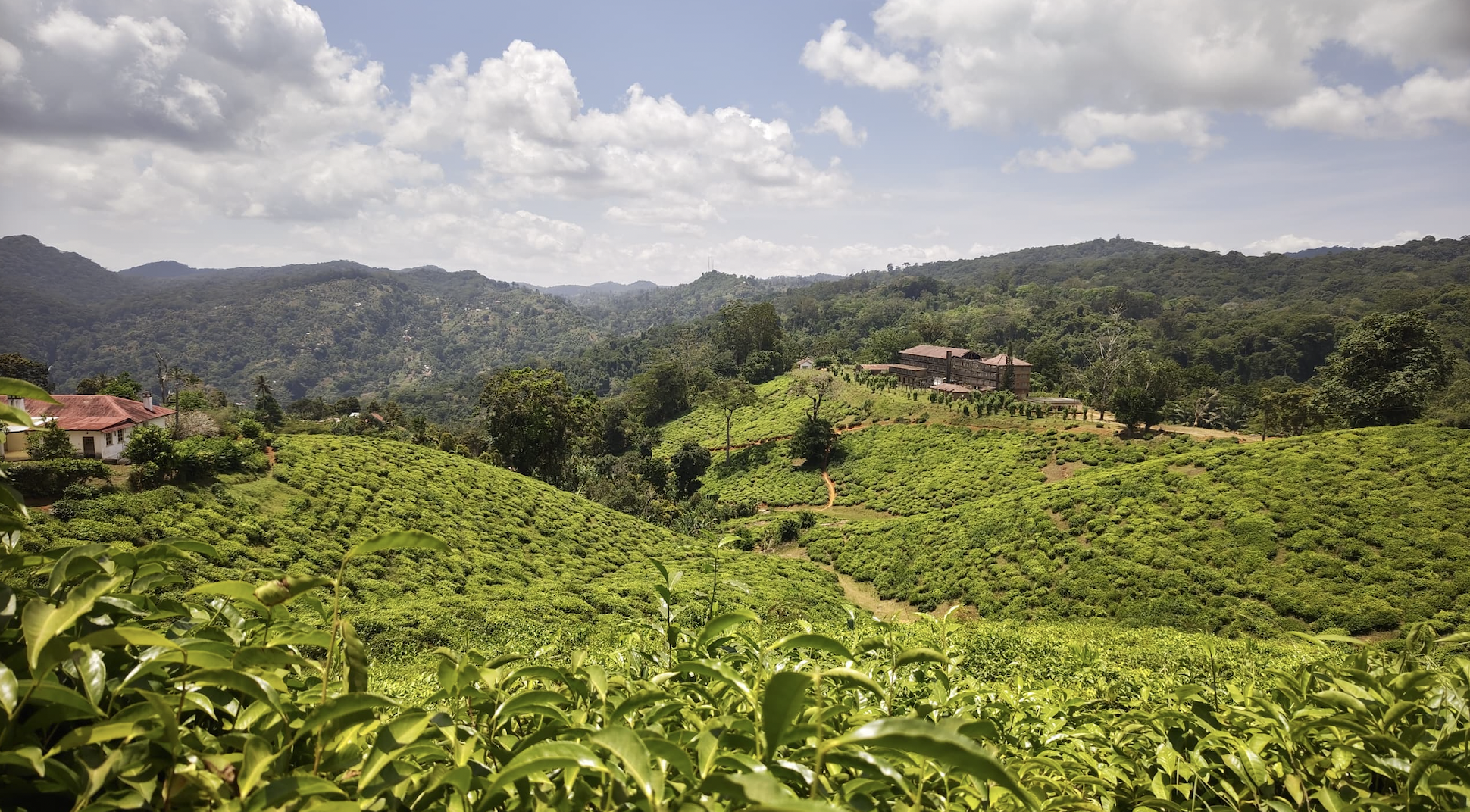 Kwamongo Expedition Eco Tours & Safaris - Image 2