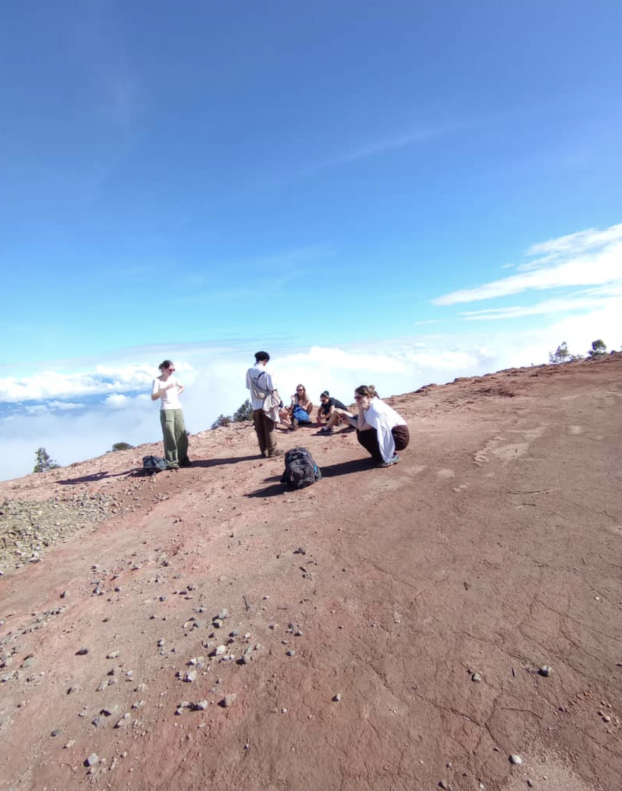 Usambara Mountains Walking Adventure - Image 3
