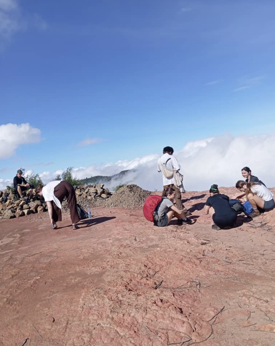 Usambara Mountains Walking Adventure
