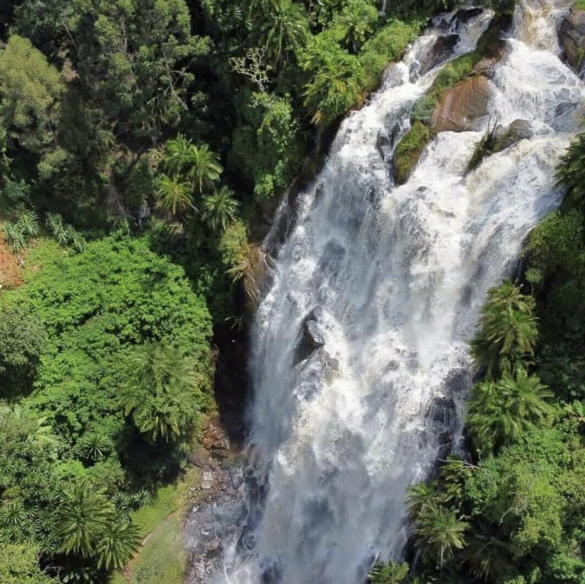 Born Usambara Travels - Image 4