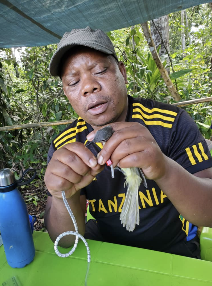 Aloyce Mkongewa Tour Guide - Image 3